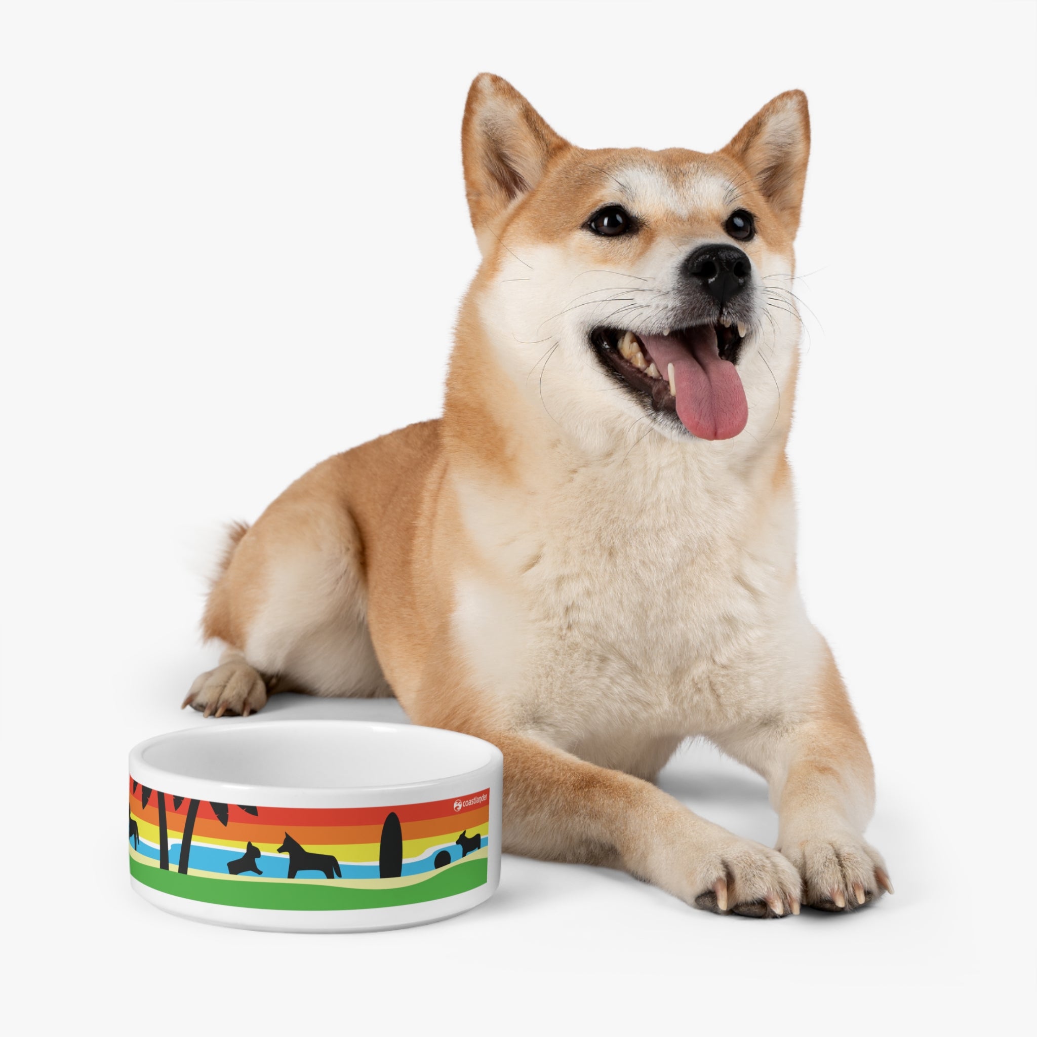 Beach dog bowl best sale